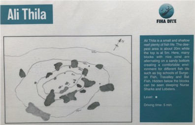 Ali Thila